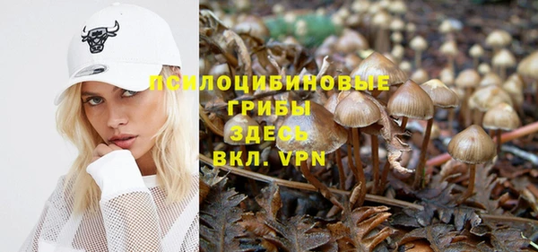 первитин Лагань